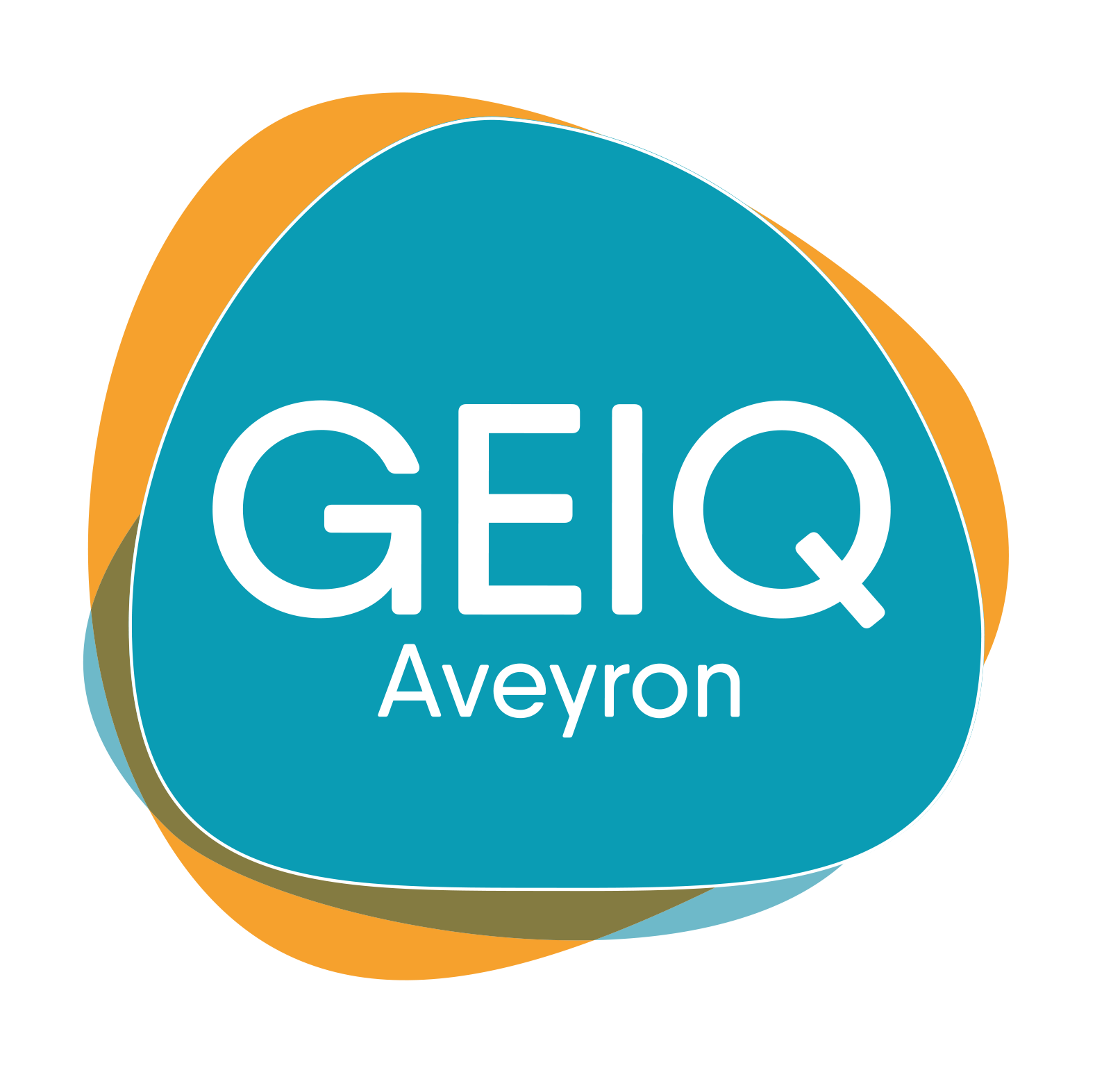 Logo GEIQ ZOOME