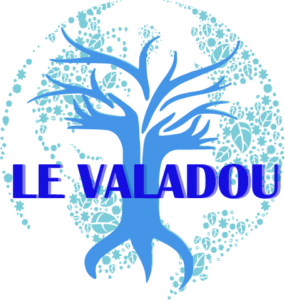 Logo logovaladousite 285x300 1